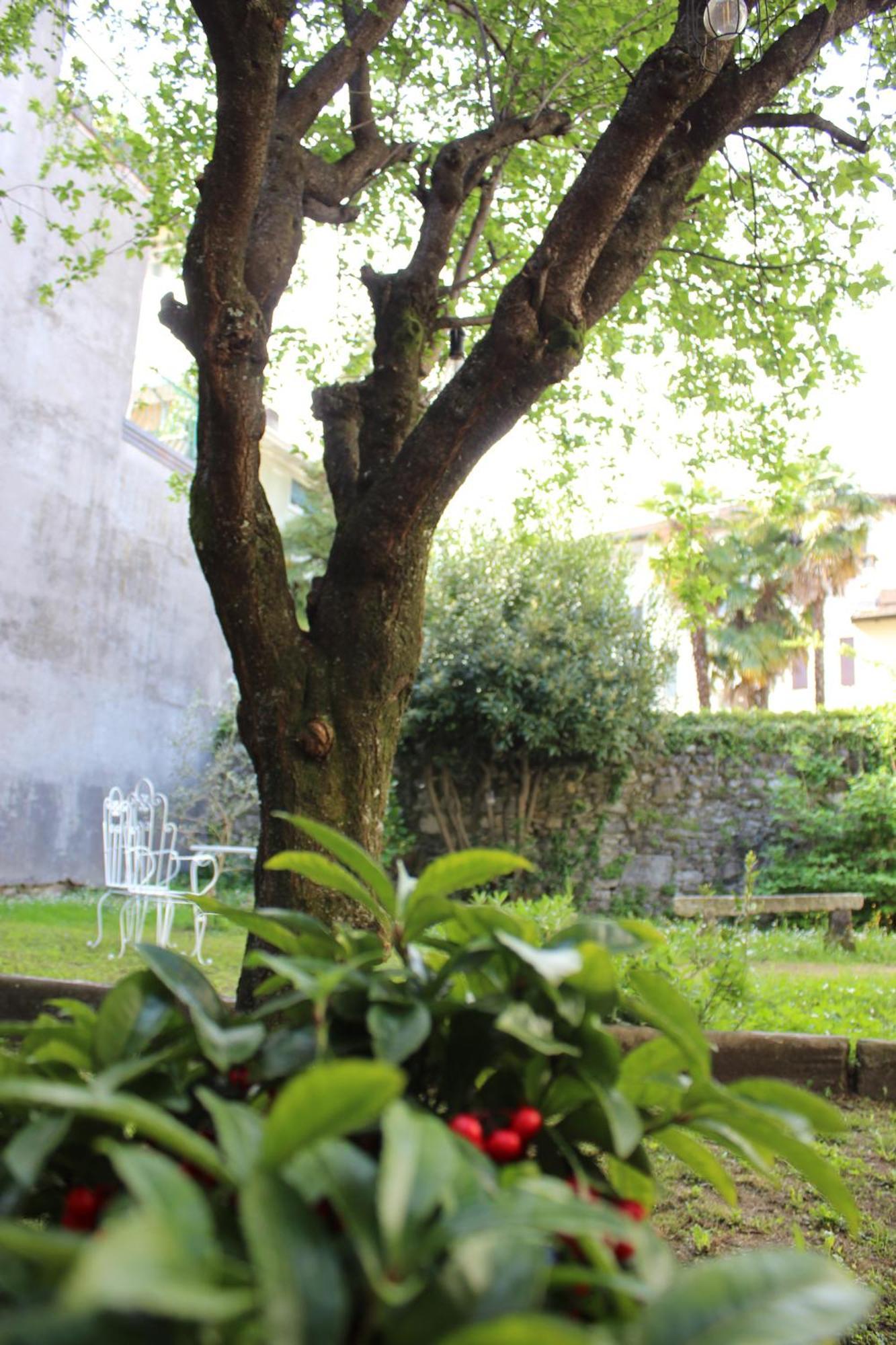 La Casa Di Tita Stresa Lägenhet Exteriör bild